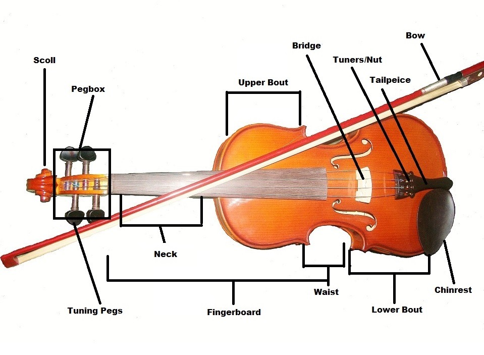 Learn to play the violin in simple steps Melodica Music Center